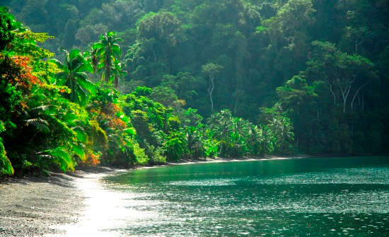 Corcovado National Park