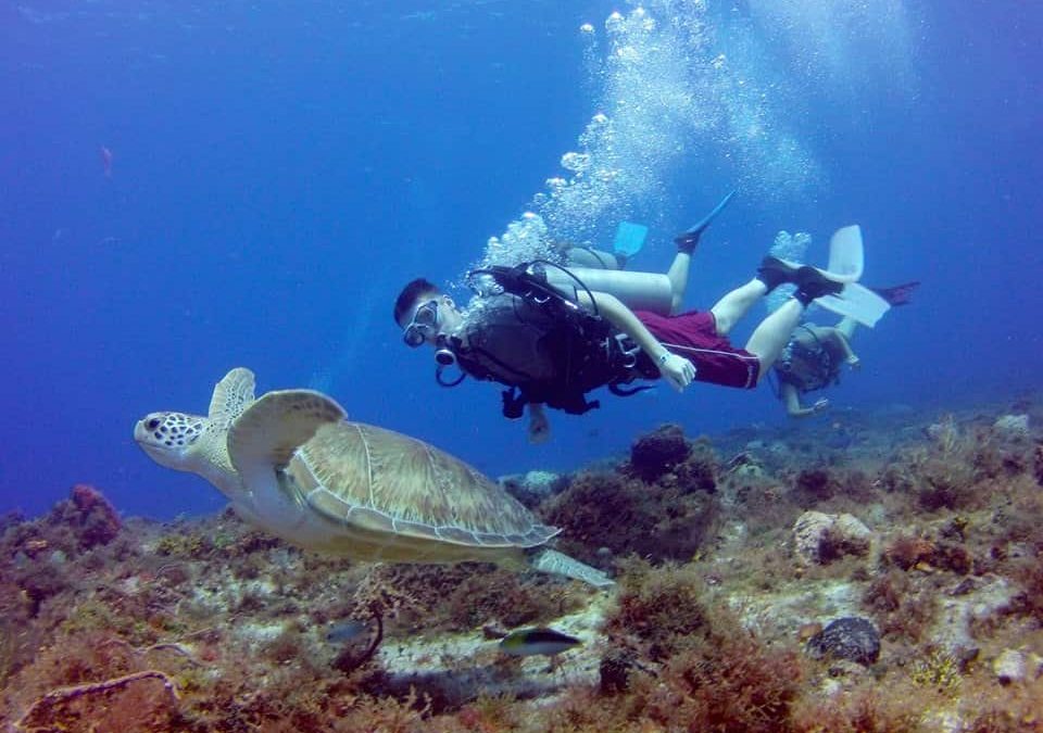 cozumel-scuba-diving