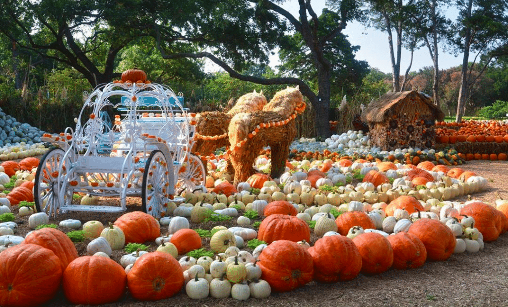 Dallas Arboretum and Botanical Garden