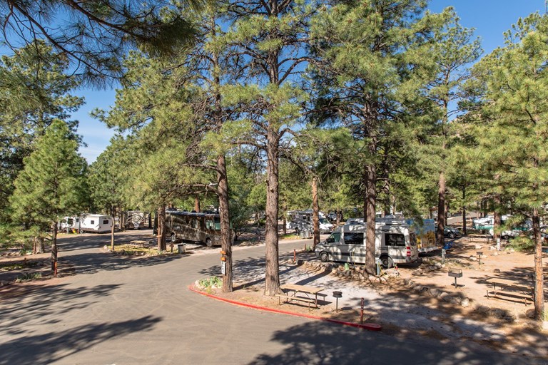 Flagstaff KOA Holiday