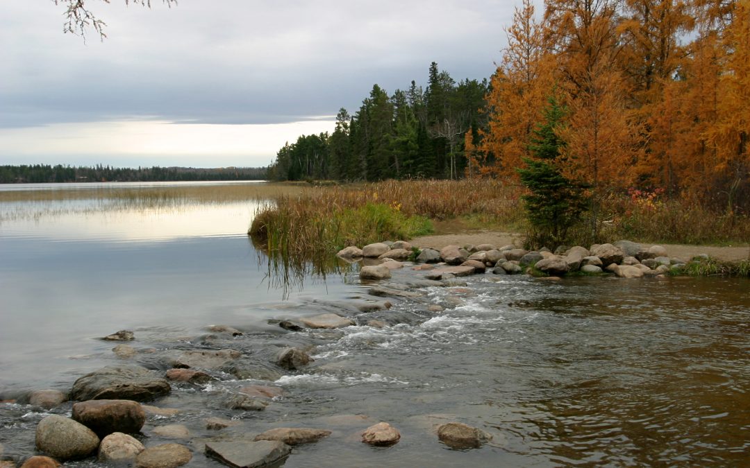 Itasca State Park