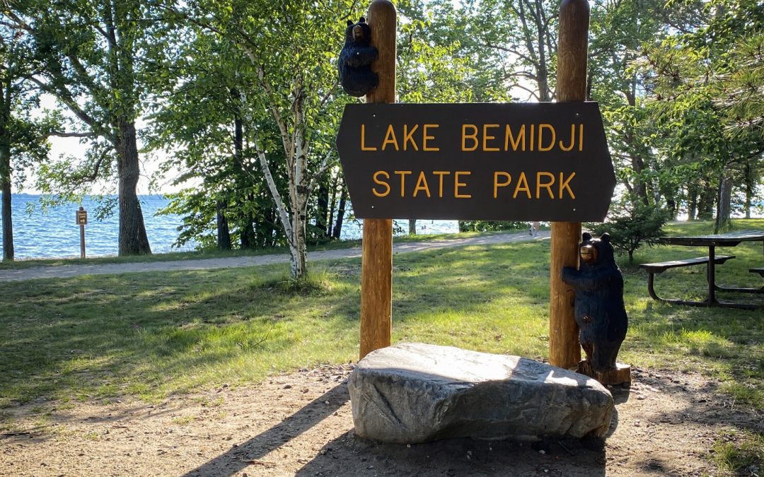 Lake Bemidji State Park