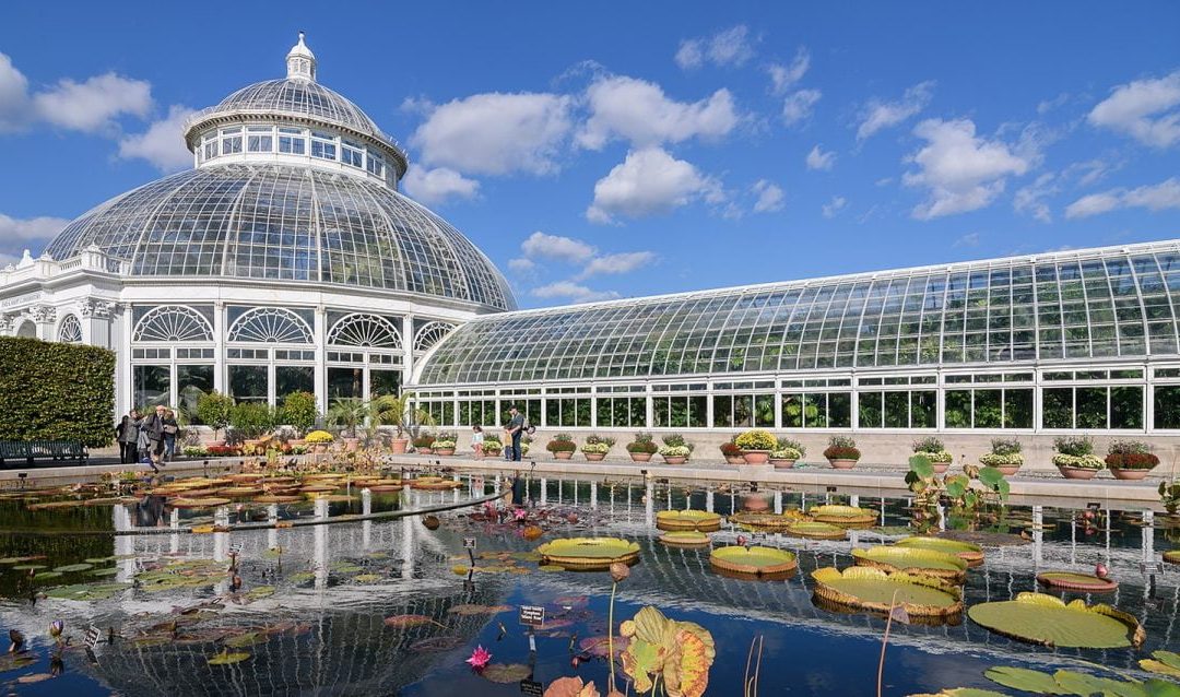 The New York Botanical Garden