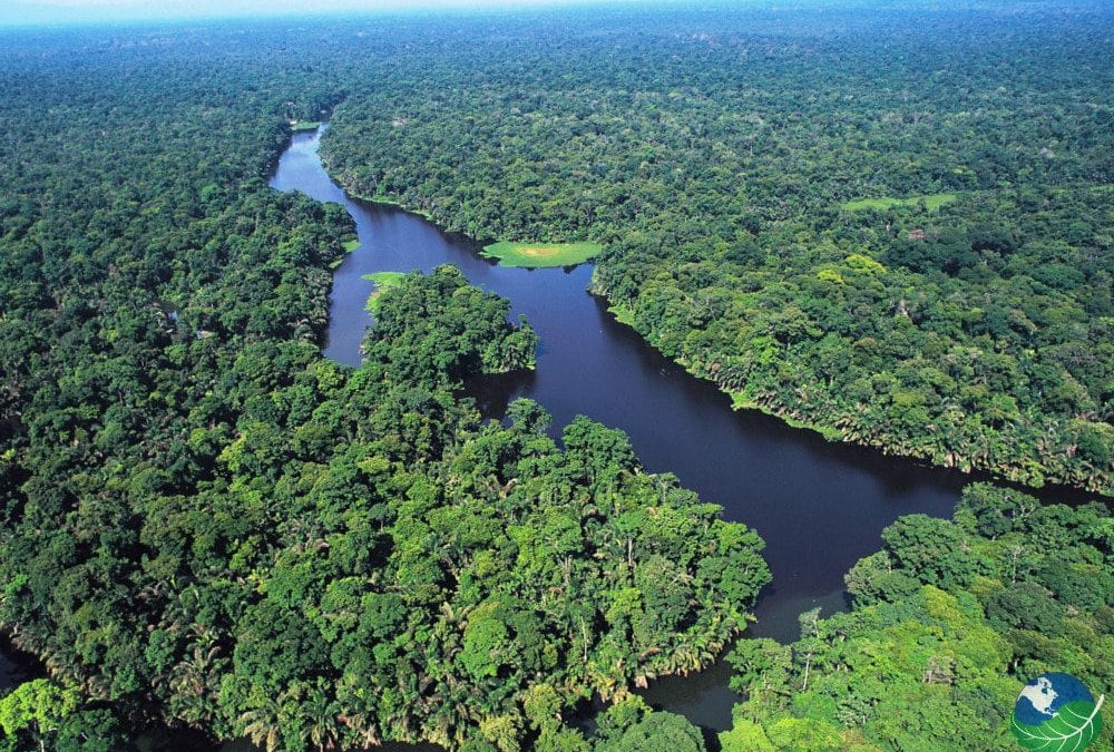 Tortuguero National Park